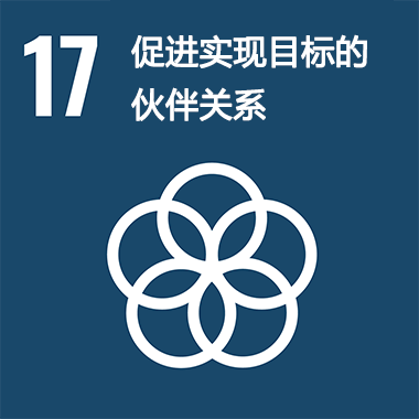 SDGs No.17 促進實現目標的伙伴關系